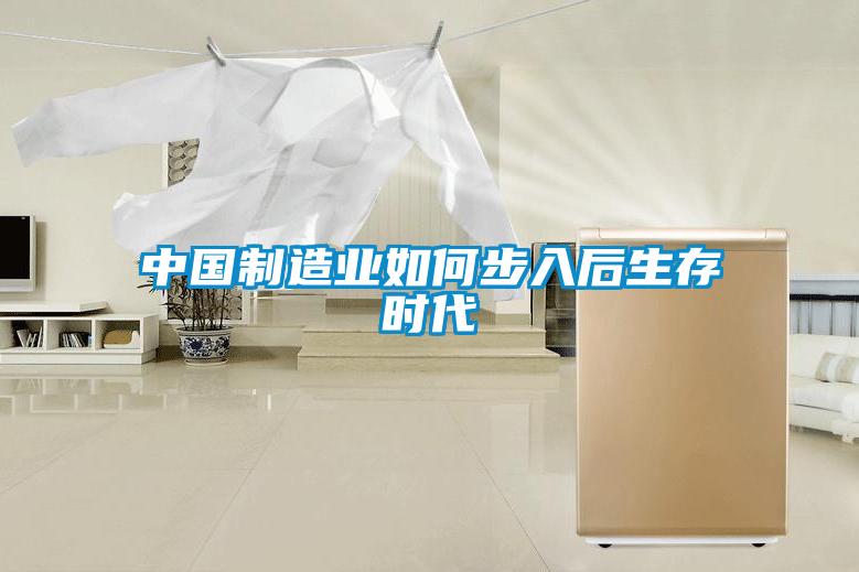 中國制造業如何步入后生存時代