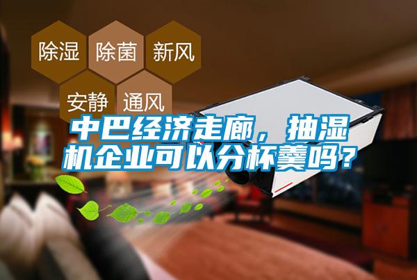 中巴經濟走廊，抽濕機企業可以分杯羹嗎？