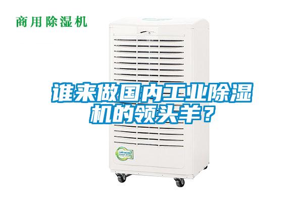 誰來做國內工業除濕機的領頭羊？
