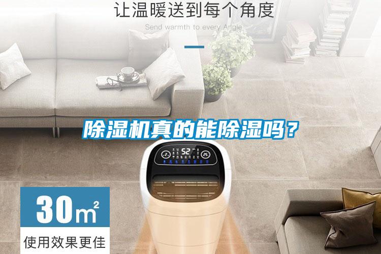 除濕機真的能除濕嗎？