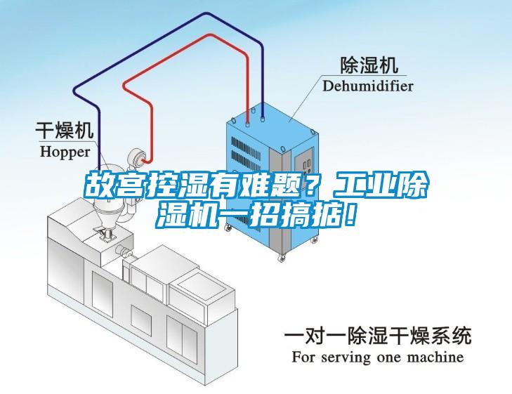 故宮控濕有難題？工業除濕機一招搞掂！