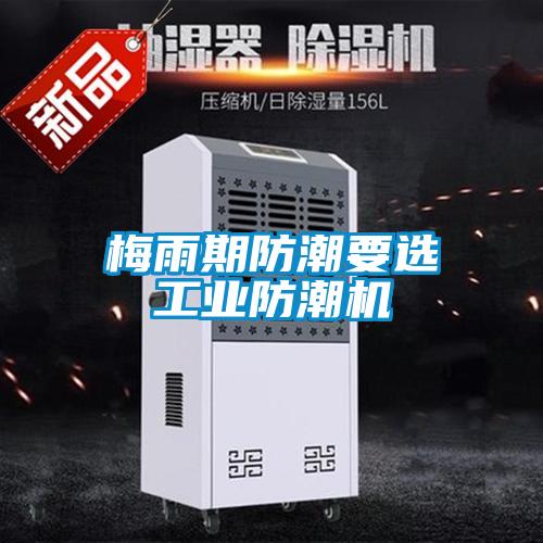 梅雨期防潮要選工業防潮機