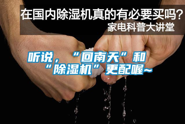 聽說，“回南天”和“除濕機”更配喔~