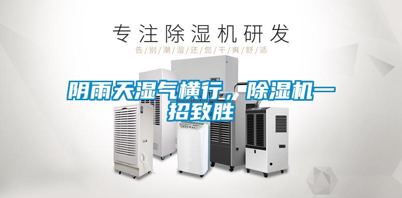 陰雨天濕氣橫行，除濕機一招致勝
