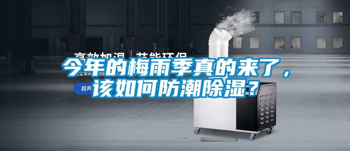 今年的梅雨季真的來了，該如何防潮除濕？