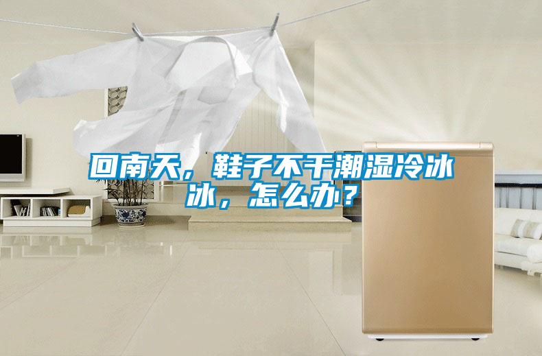 回南天，鞋子不干潮濕冷冰冰，怎么辦？