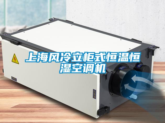 上海風冷立柜式恒溫恒濕空調(diào)機