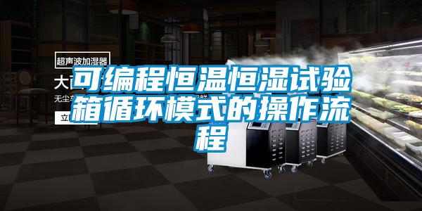 可編程恒溫恒濕試驗箱循環模式的操作流程