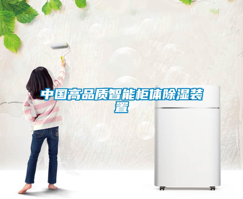 中國高品質智能柜體除濕裝置