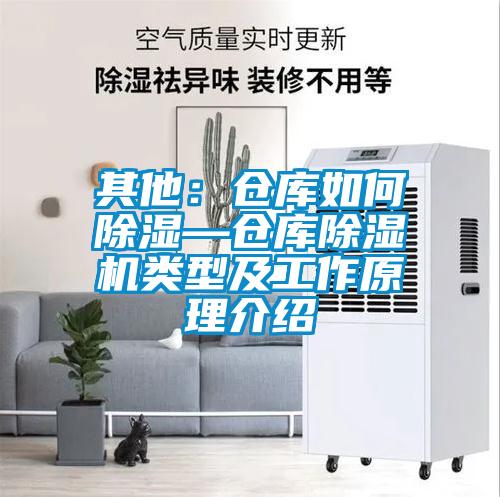 其他：倉庫如何除濕—倉庫除濕機類型及工作原理介紹