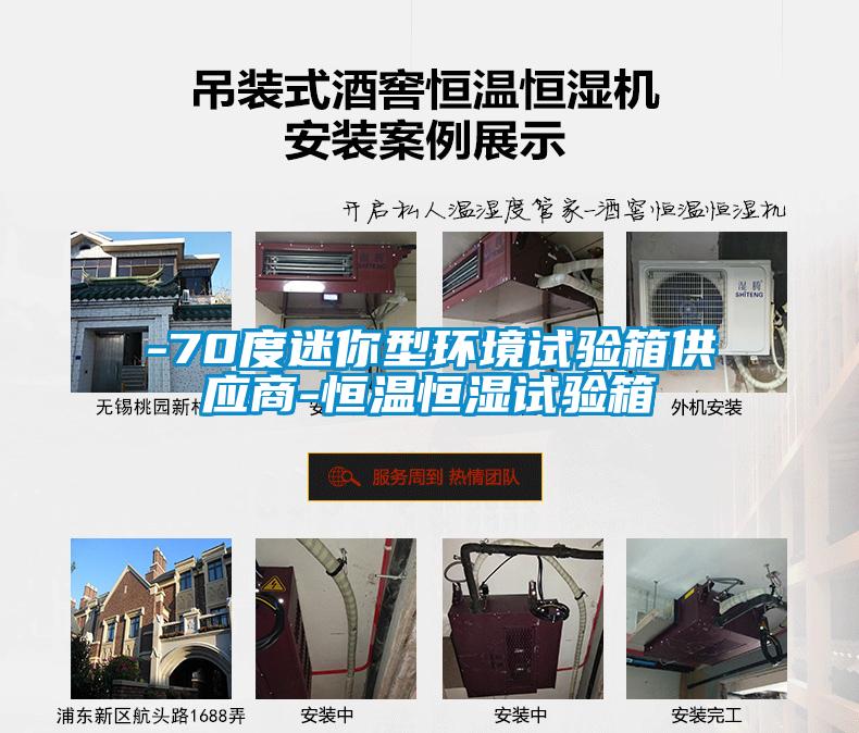 -70度迷你型環境試驗箱供應商-恒溫恒濕試驗箱