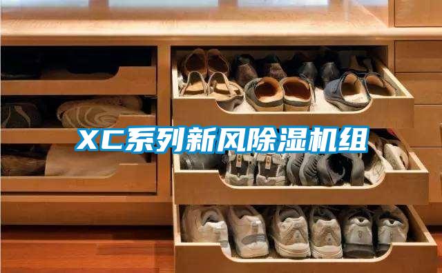 XC系列新風除濕機組