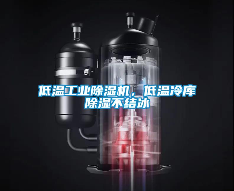 低溫工業除濕機，低溫冷庫除濕不結冰