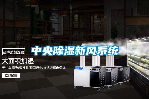 中央除濕新風系統