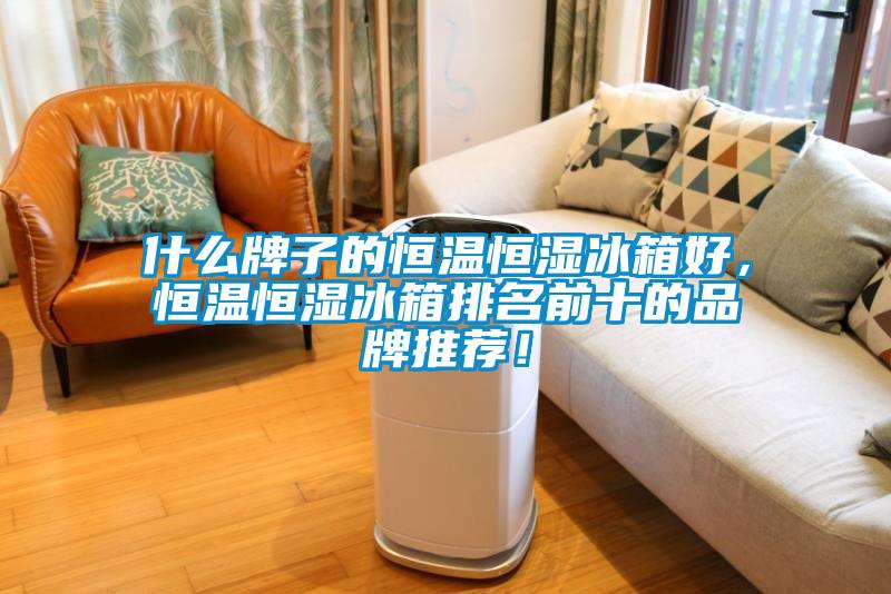什么牌子的恒溫恒濕冰箱好，恒溫恒濕冰箱排名前十的品牌推薦！