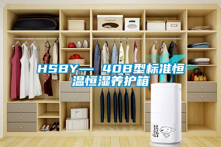 HSBY— 40B型標準恒溫恒濕養(yǎng)護箱