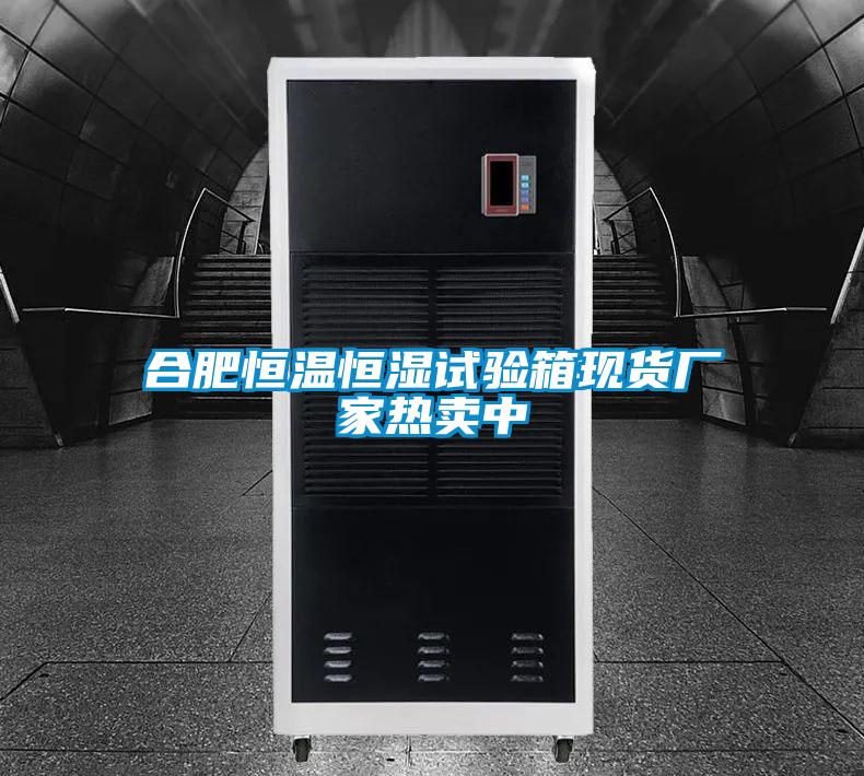 合肥恒溫恒濕試驗箱現貨廠家熱賣中