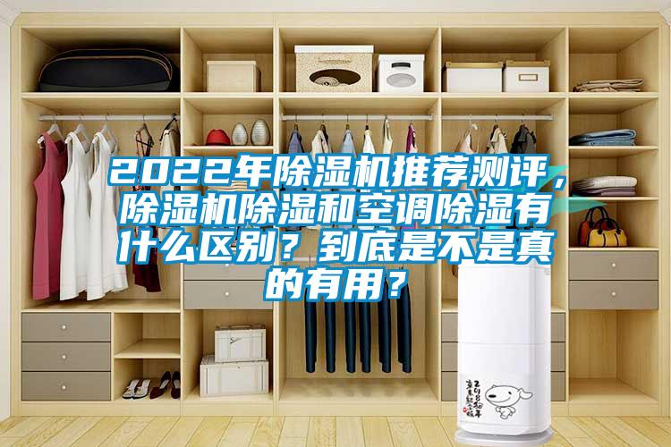 2022年除濕機推薦測評，除濕機除濕和空調(diào)除濕有什么區(qū)別？到底是不是真的有用？