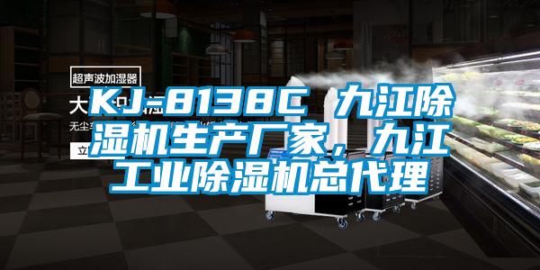 KJ-8138C 九江除濕機生產廠家，九江工業除濕機總代理