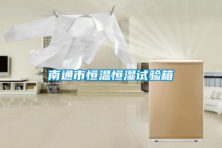 南通市恒溫恒濕試驗(yàn)箱