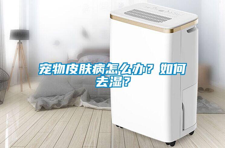 寵物皮膚病怎么辦？如何去濕？
