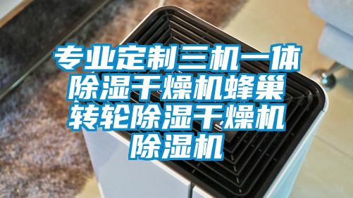 專業定制三機一體除濕干燥機蜂巢轉輪除濕干燥機除濕機