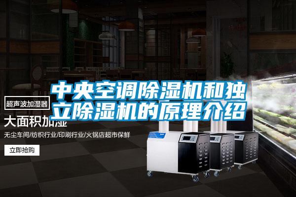 中央空調(diào)除濕機和獨立除濕機的原理介紹