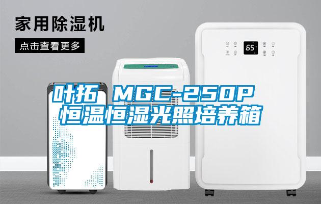 葉拓 MGC-250P 恒溫恒濕光照培養箱