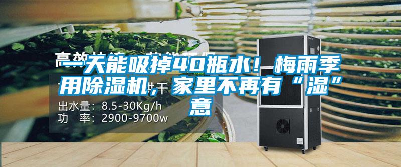 一天能吸掉40瓶水！梅雨季用除濕機，家里不再有“濕”意