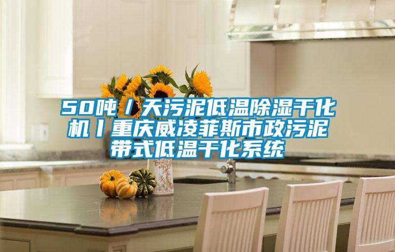 50噸／天污泥低溫除濕干化機丨重慶威凌菲斯市政污泥帶式低溫干化系統