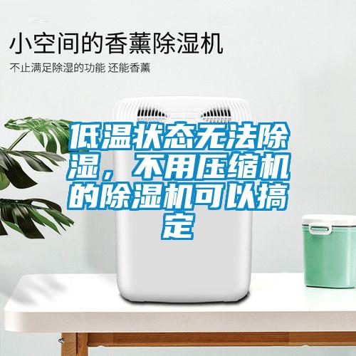 低溫狀態無法除濕，不用壓縮機的除濕機可以搞定