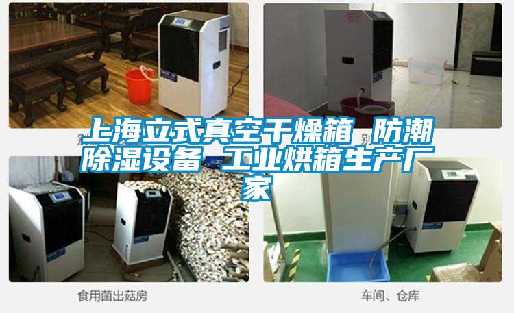 上海立式真空干燥箱 防潮除濕設備 工業烘箱生產廠家