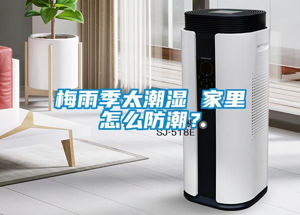 梅雨季太潮濕 家里怎么防潮？