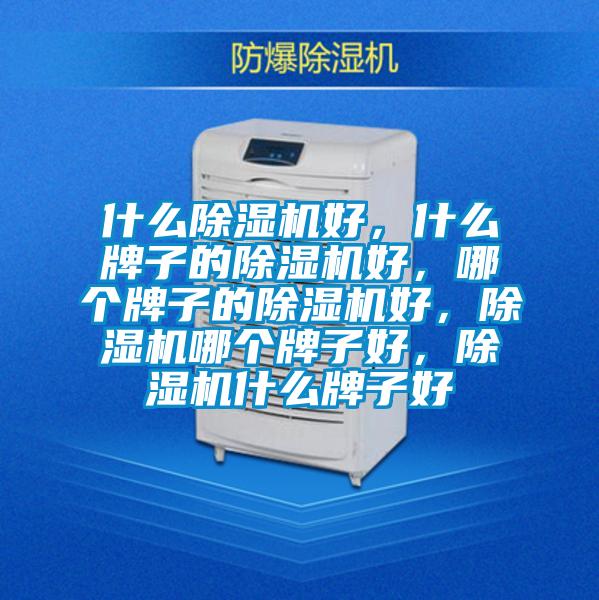 什么除濕機好，什么牌子的除濕機好，哪個牌子的除濕機好，除濕機哪個牌子好，除濕機什么牌子好