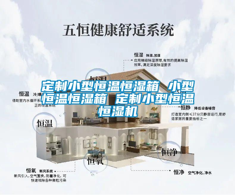 定制小型恒溫恒濕箱 小型恒溫恒濕箱 定制小型恒溫恒濕機(jī)