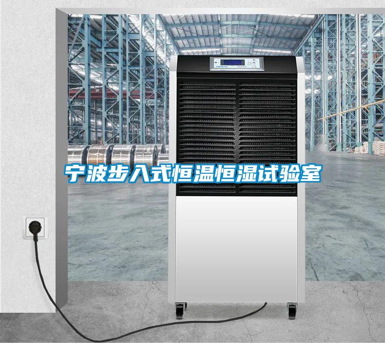 寧波步入式恒溫恒濕試驗室