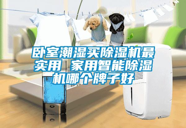 臥室潮濕買除濕機(jī)最實(shí)用 家用智能除濕機(jī)哪個牌子好