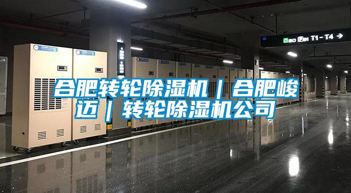 合肥轉輪除濕機｜合肥峻邁｜轉輪除濕機公司