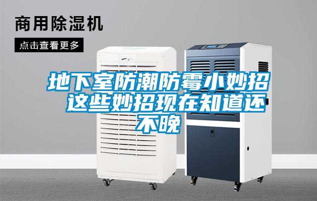 地下室防潮防霉小妙招 這些妙招現在知道還不晚