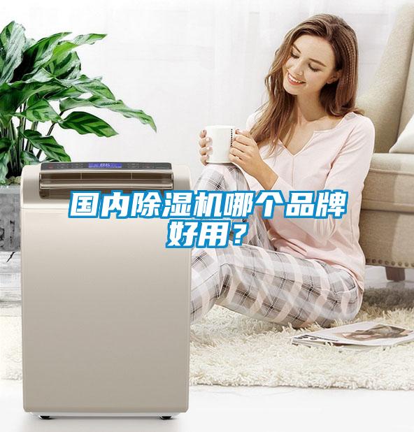 國內除濕機哪個品牌好用？