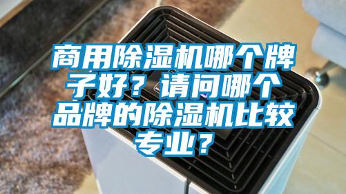 商用除濕機哪個牌子好？請問哪個品牌的除濕機比較專業(yè)？