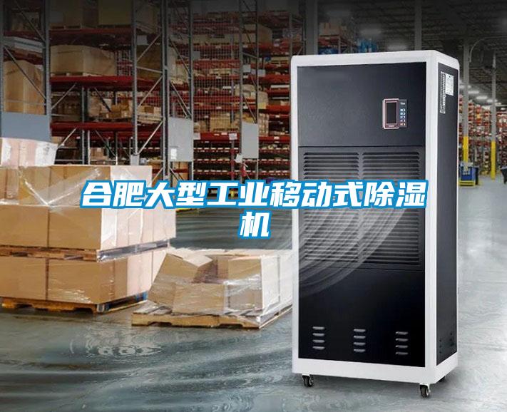 合肥大型工業移動式除濕機