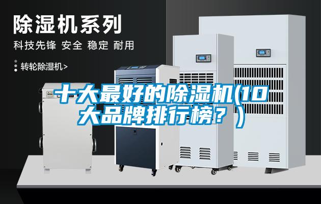 十大最好的除濕機(10大品牌排行榜？)