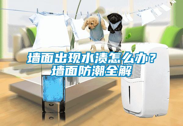 墻面出現水漬怎么辦？墻面防潮全解