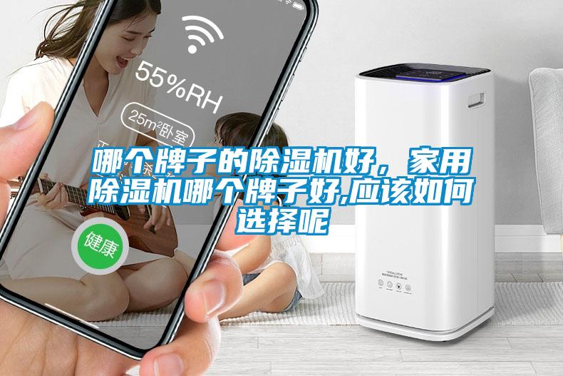 哪個牌子的除濕機好，家用除濕機哪個牌子好,應該如何選擇呢