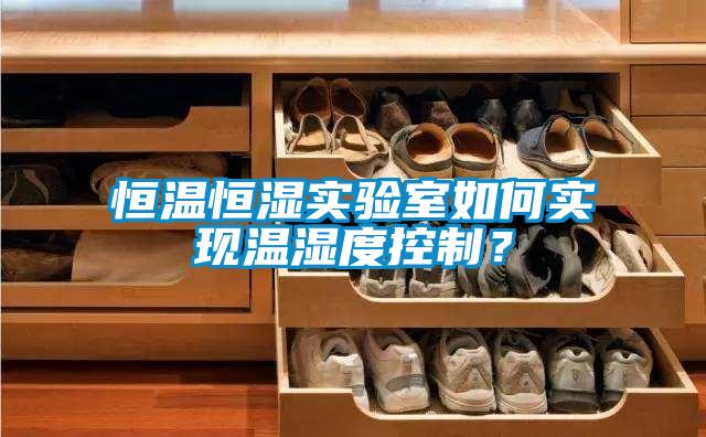 恒溫恒濕實驗室如何實現溫濕度控制？
