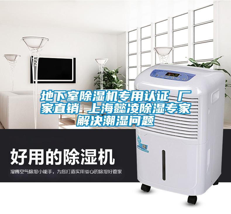 地下室除濕機(jī)專用認(rèn)證 廠家直銷 上海懿凌除濕專家解決潮濕問(wèn)題