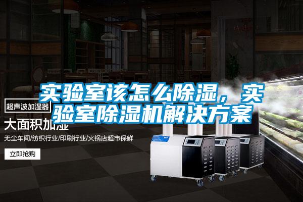 實驗室該怎么除濕，實驗室除濕機解決方案