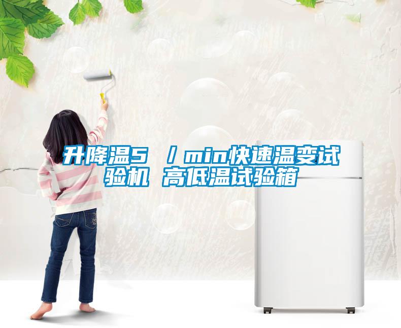 升降溫5℃／min快速溫變試驗(yàn)機(jī) 高低溫試驗(yàn)箱
