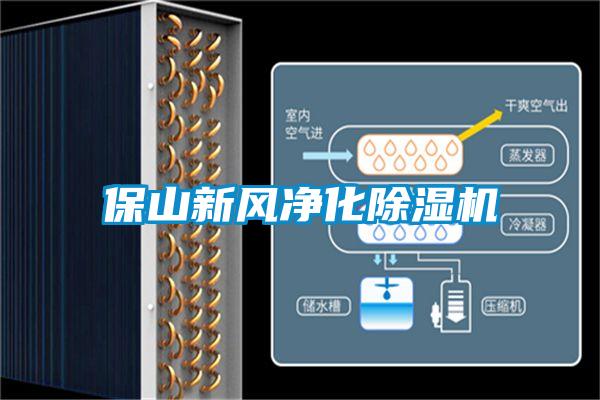 保山新風凈化除濕機